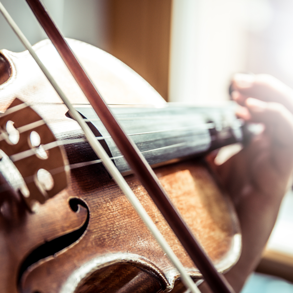 violin.png